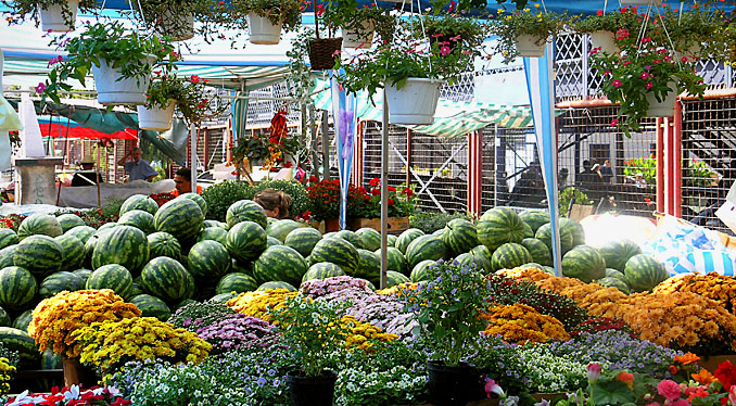 Kalenić market