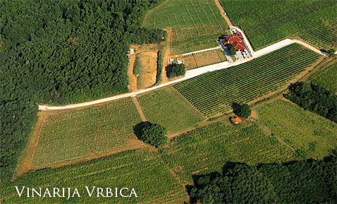 Vrbica Winery