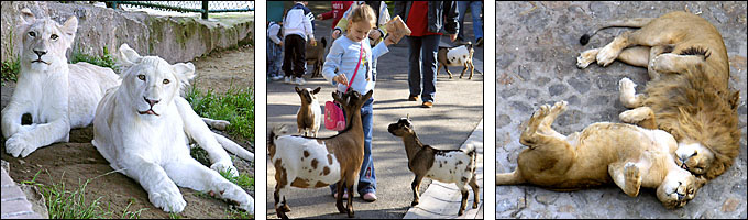 Belgrade Zoo